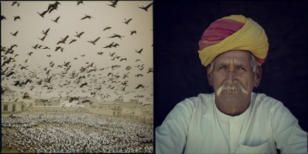 Panna Lal, Bird Keeper, Kheechan, India, 2016